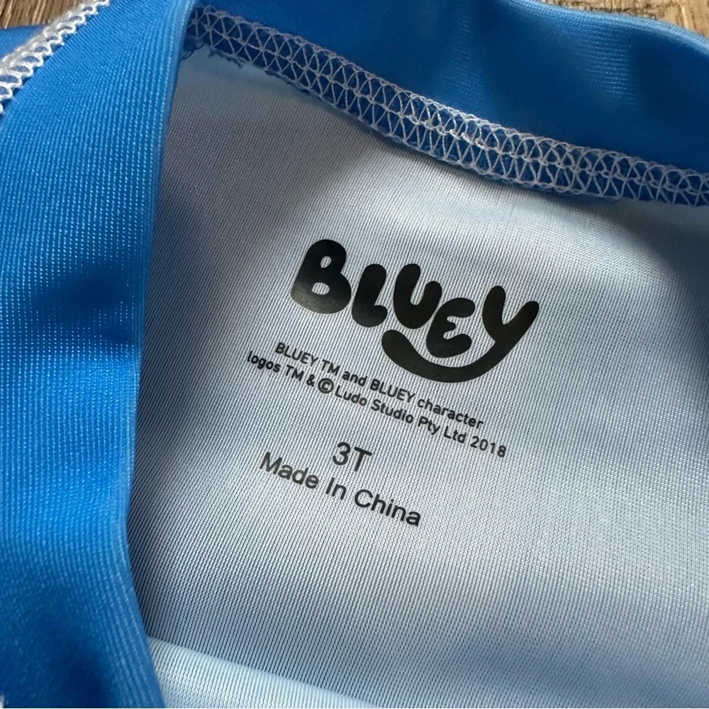 NWT!! Children’s Bluey Swim Outfit, UPF 50+, Swim Trunks, Rash Guard, Unisex, 3T